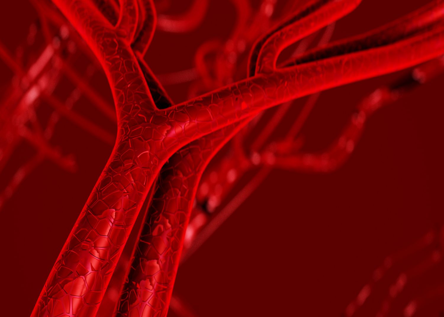 Grafische Darstellung vom Blutgefäß eines Menschen.
